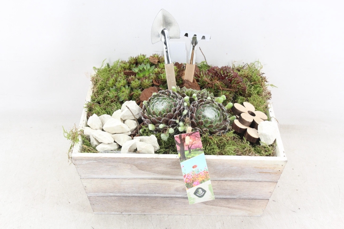 <h4>arr4 Semp JS - Hout 4kant 335/2</h4>