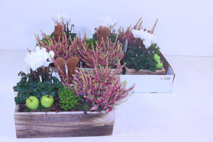 <h4>ARR TUINPLANTEN</h4>