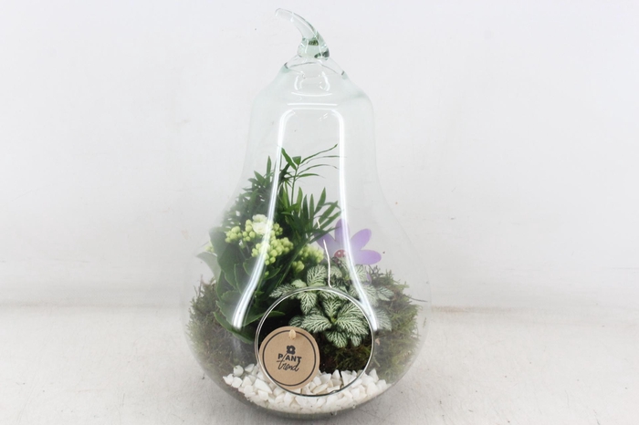 <h4>arr2 PL - Glazen peer XL - wit</h4>