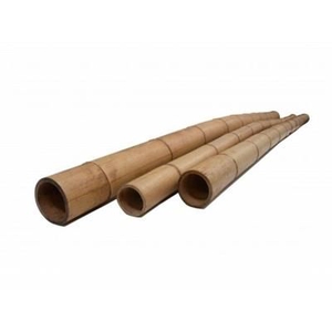 BAMBOE 300 CM - O 60/80