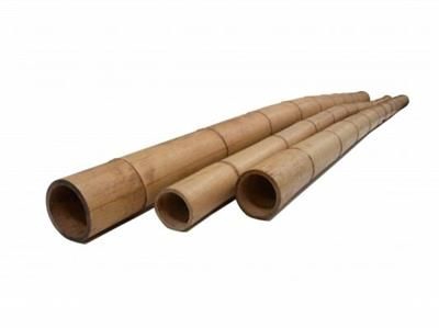 <h4>BAMBOE 300 CM - O 60/80</h4>