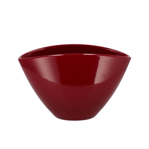 Ceramic Wine Red Shiny Pot Orchid 28x17cm