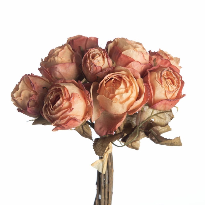 <h4>AF Rosa Dry Bnd x10 27cm Peach</h4>