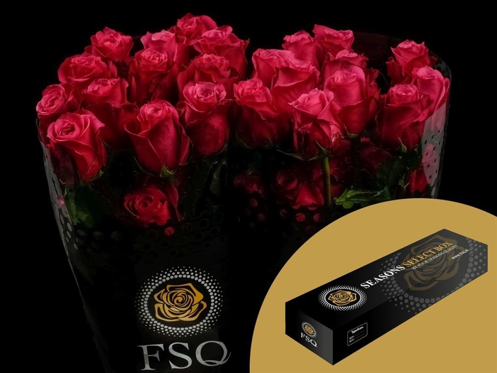 <h4>R GR Cherry O ! Box</h4>