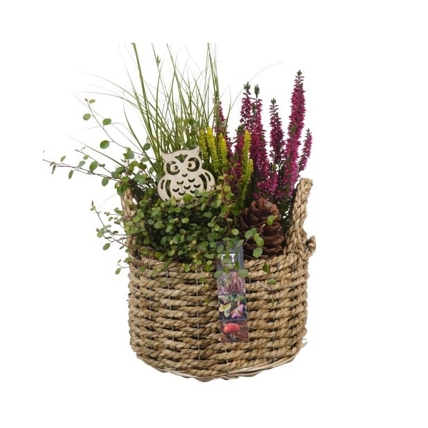 <h4>PTHO4179 Arrangement Herfst Outdoor in rieten mand</h4>