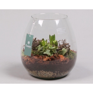 Green Bottle Abby Large met Hyacint Arrangement