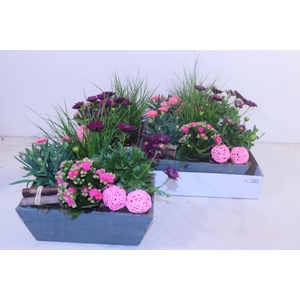 ARR TUINPLANTEN