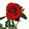 HYDR M MAG GR REVOLU