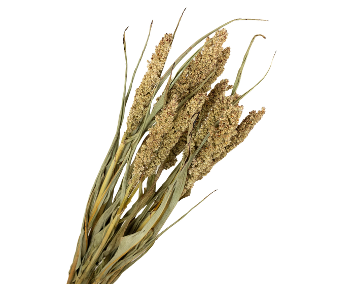 <h4>Sorghum Natural</h4>