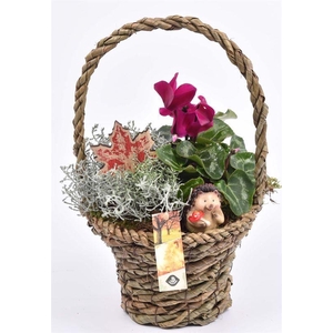 Touw hengselmand 20 cm