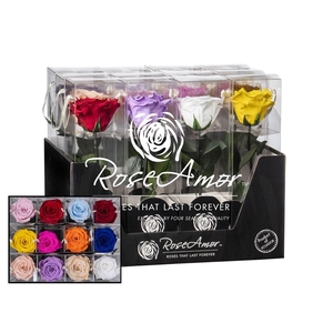 Display 20cm Stem Assorted