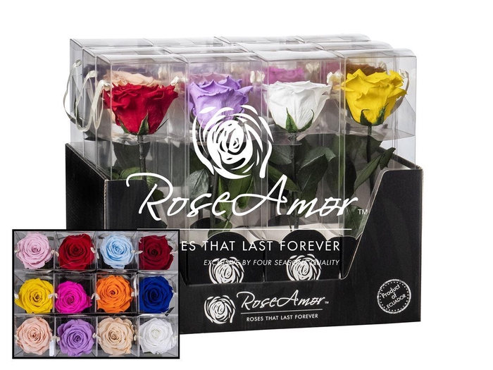 <h4>Display 20cm Stem Assorted</h4>