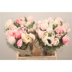 Anem Mistral White Salmon Super