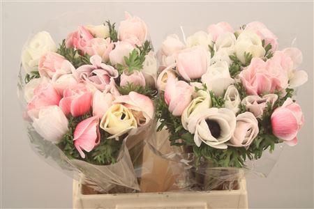 <h4>Anem Mistral White Salmon Super</h4>