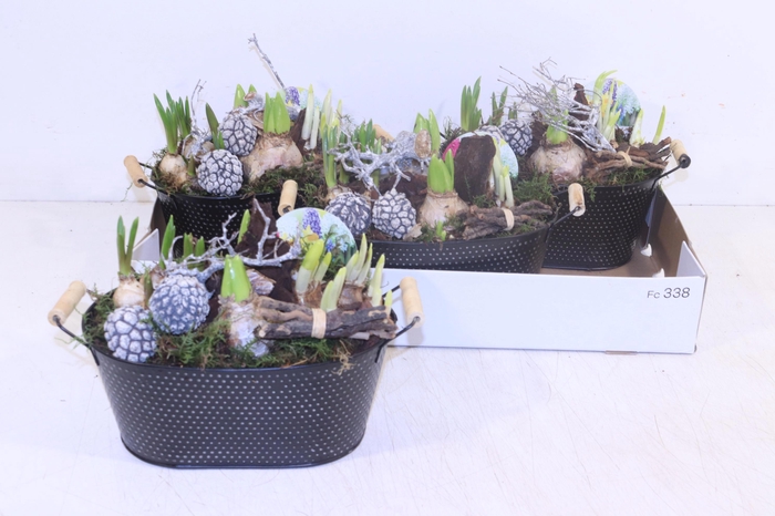 <h4>ARR BOL KNOLGEWAS</h4>