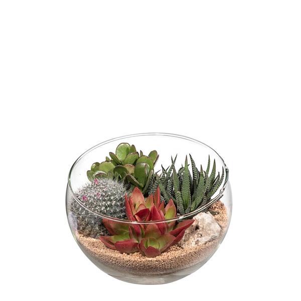 <h4>GLASS ARRANGEMENT - SLANT CUT BOWL VASE Ø 16 - IN CARDBOARD BOX CM18X18</h4>