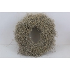 Wr Vlas 40cm Frosted