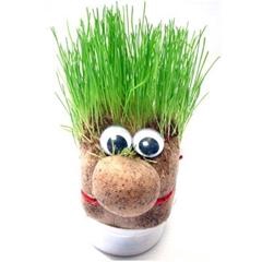 <h4>Mr. Bart</h4>
