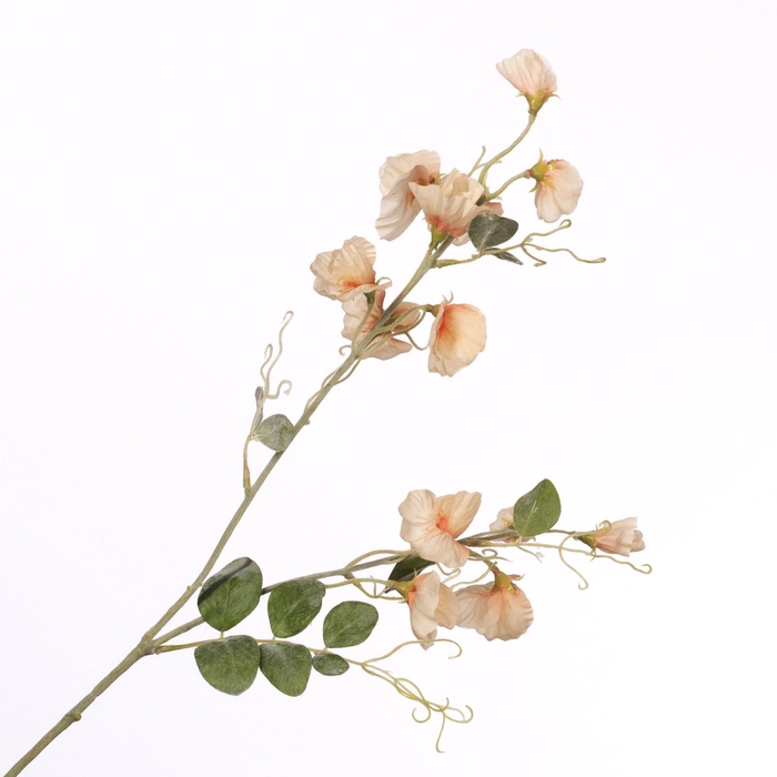<h4>Lathyrus Spray Peach FL440247PEA</h4>
