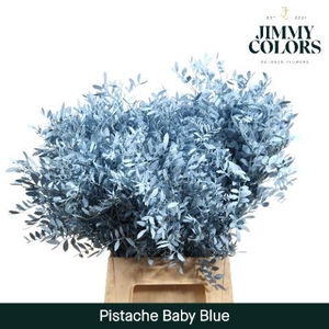 Pistache L45 Light blue