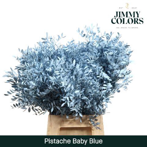 <h4>Pistache L50 Light blue</h4>