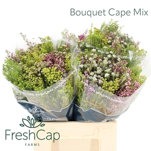 Bouquet Cape Mix