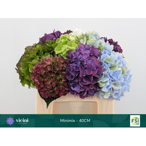 Hydr Mini Mix 40 cm Vicini