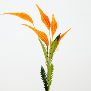 AF Veronica spray L76cm orange