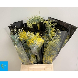 ACACIA BL HAMBURY BS