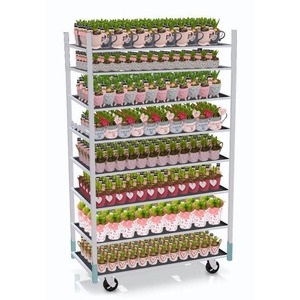 CC TENDER MINI 2026 - 1 prijs per stuk, incl. fust