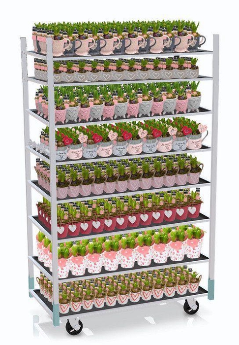 <h4>CC TENDER MINI 2026 - 1 prijs per stuk, incl. fust</h4>