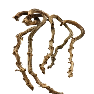 Droogdeco Banana stick x5