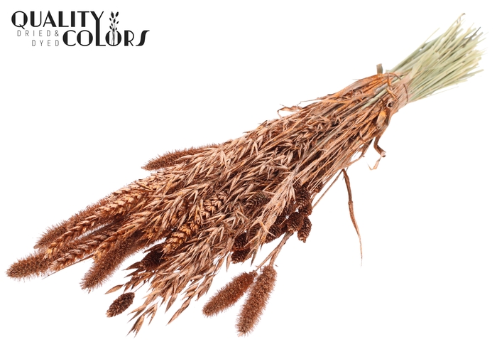 <h4>Dried Flower mix bunch Copper + Glitter</h4>