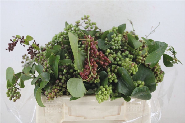 <h4>Smilax P Bunch</h4>