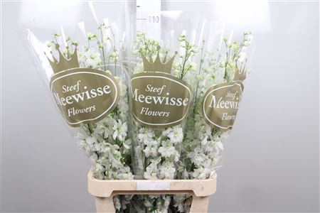 <h4>Delph Du Dewi Impress White</h4>