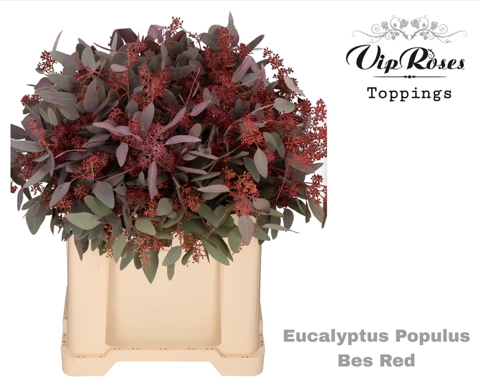 <h4>EUCA POPULUS BES RED 300 GR</h4>
