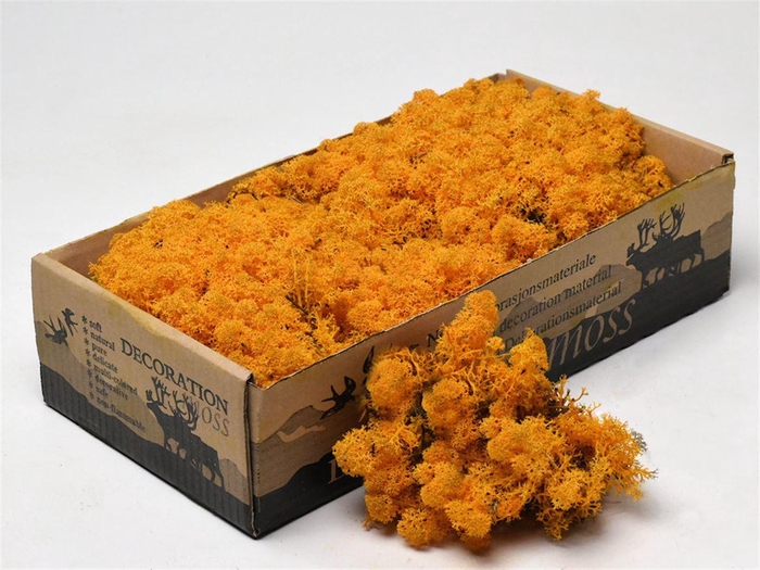 <h4>Mos Rendier Orange Gepr 500gr</h4>