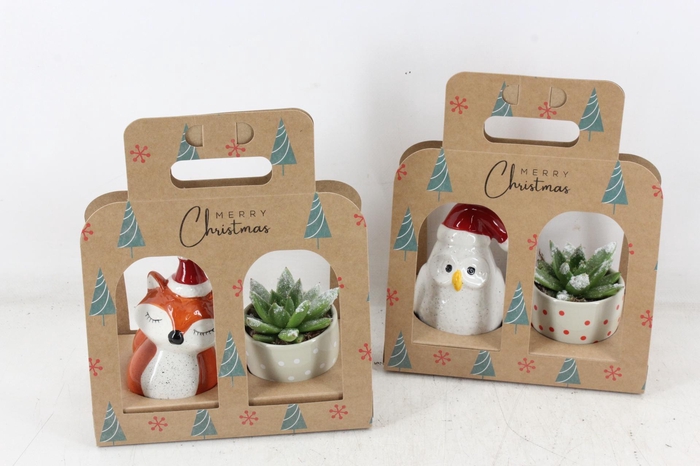 <h4>arr2 PL - Keramiek mix ech. cadeau</h4>