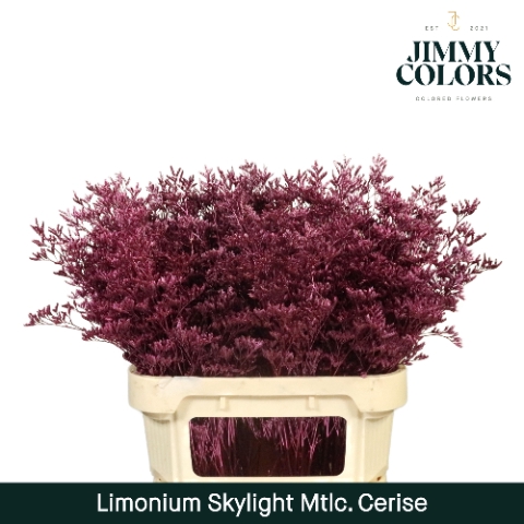 Limonium Skylight L80 Metallic Cerise