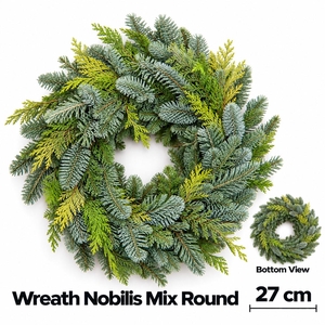 ABIES NOBILIS BLAUW
