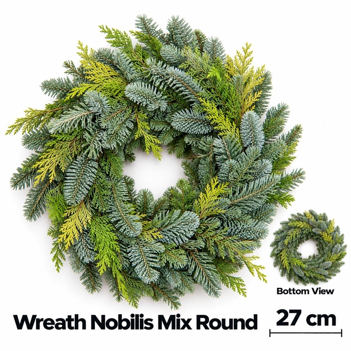 <h4>ABIES NOBILIS BLAUW</h4>