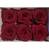 Ro Pres Classic Red
