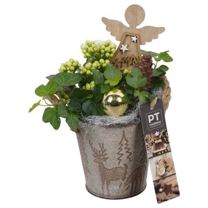 PTCHG5666 Arrangement Christmas Gold in metaal pot