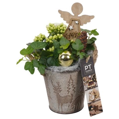 <h4>PTCHG5666 Arrangement Christmas Gold in metaal pot</h4>