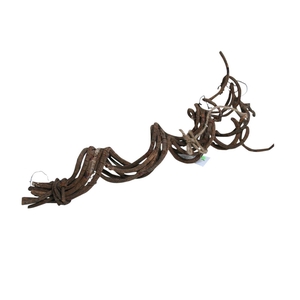 Bundle Liana 8 Pcs L50