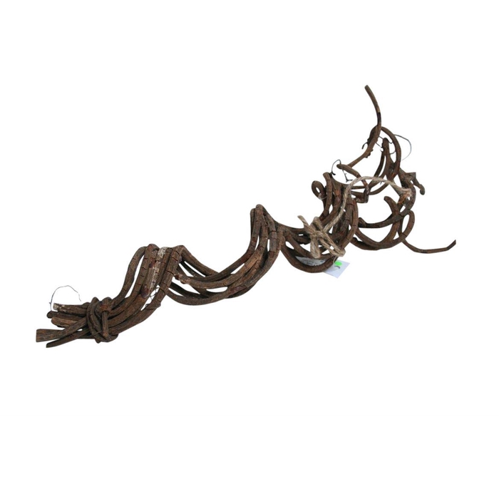 <h4>Bundle Liana 8 Pcs L50</h4>