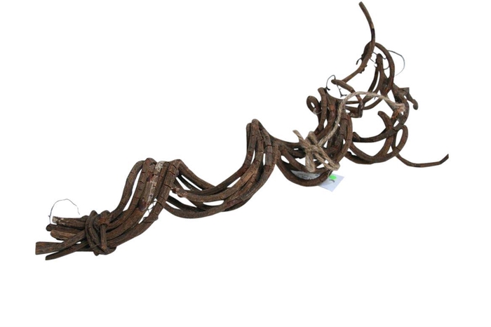 Bundle Liana 8 Pcs L50