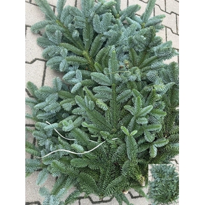 ABIES NOB BLAUW KILO