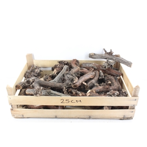 arr3 GB - Druivenhout 25cm