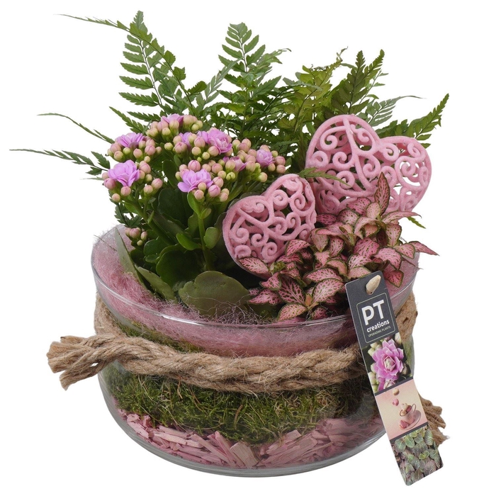 <h4>Arr. Planten L%</h4>